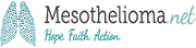 MesoNet_logo